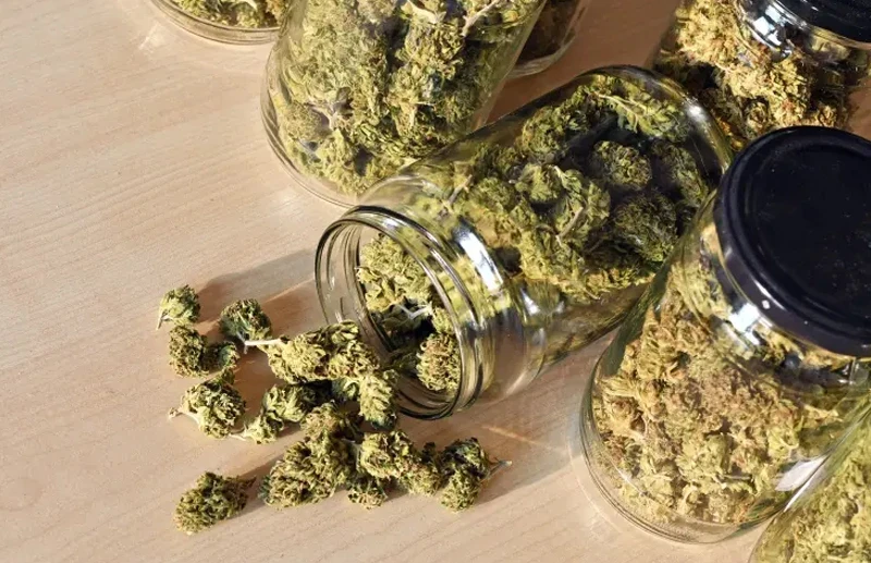 Colored glass jars showing different Cannabis Glass Jar Sizes used for safe and airtight storage.