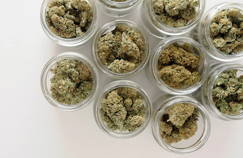 Sustainable Cannabis Packaging: A Complete Guide 5 Sustainable cannabis packaging materials including glass jars, recycled plastic, aluminum tins, and paperboard boxes.